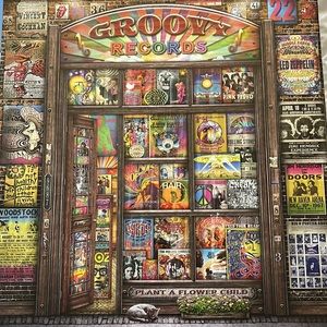 Springbrook Puzzel -Groovy Records